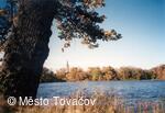 Tovačov, Tovačovské rybníky