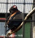 ZOO Praha