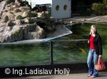 ZOO Praha